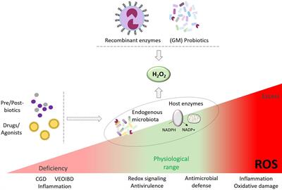 Raising the ‘Good’ Oxidants for Immune Protection